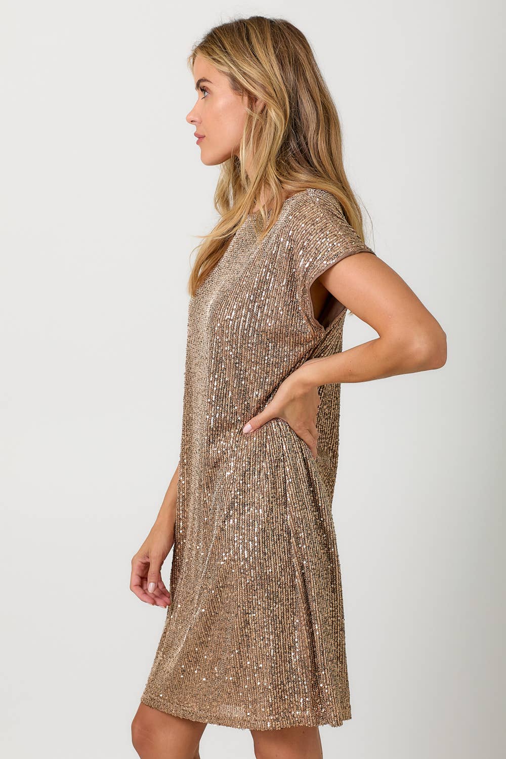 Joy Sequin Dress